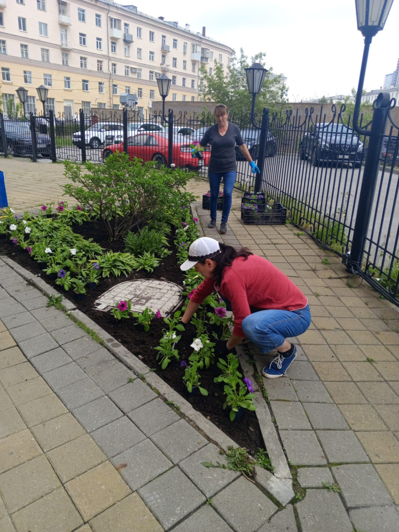 Высадка цветов 07.06.24 г. --.jpg